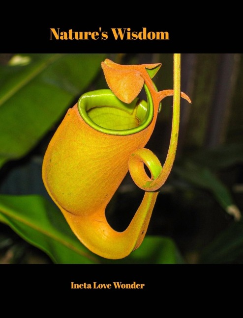 Natures Wisdom