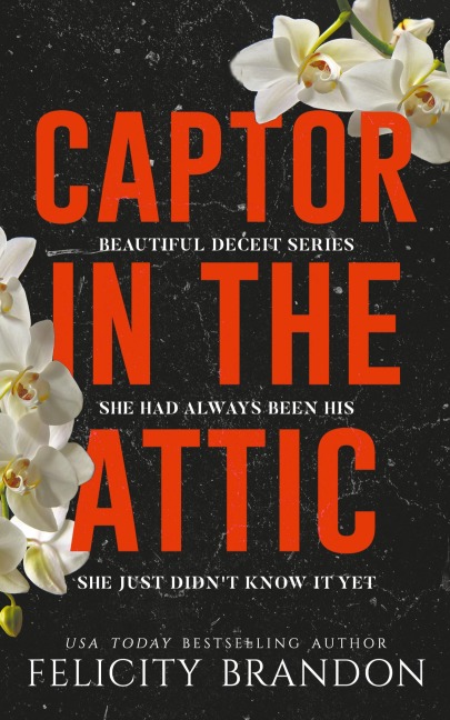 Captor In The Attic