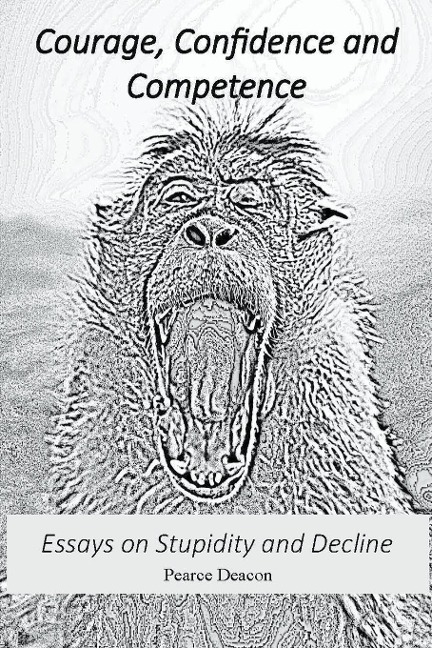 Courage, Confidence and Competence: Essays on Stupidity and Decline