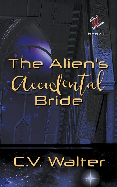 The Aliens Accidental Bride