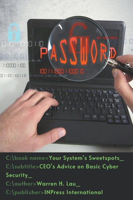 Your Systems Sweetspots: CEOs Advice on Basic Cyber Security