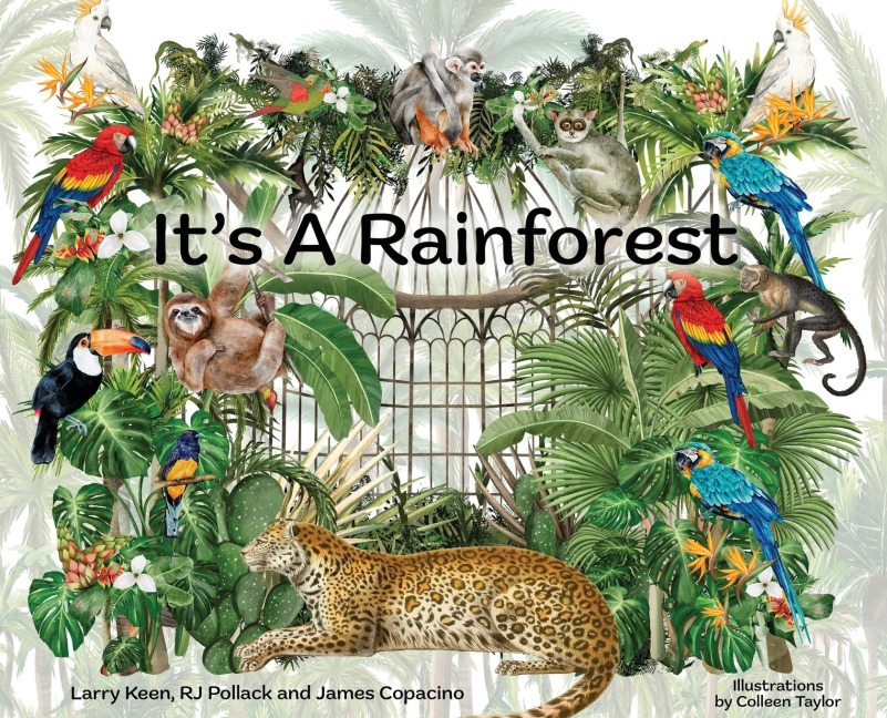 Its A Rainforest: A Magical Rainforest Songbook Journey