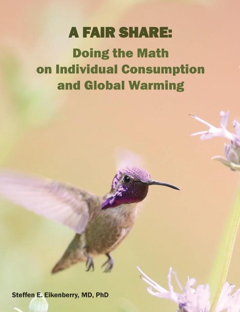 A Fair Share: Doing the Math on Individual Consumption and Global Warming