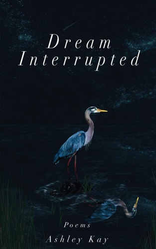 Dream Interrupted Poems
