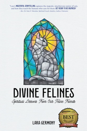 Divine Felines Spiritual Lessons From Our Feline Friends