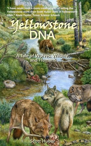 Yellowstone DNA A Tale of Wolves, Wildlife and Humans