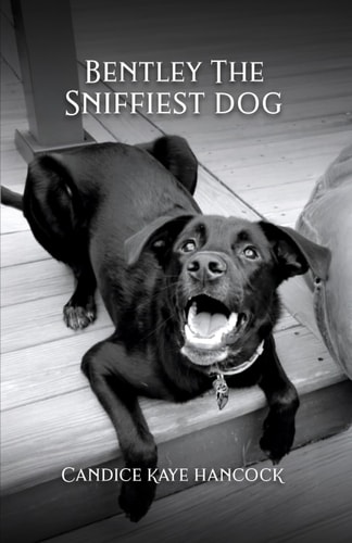 Bentley The Sniffiest Dog: Survivor of Dead Dog Beach