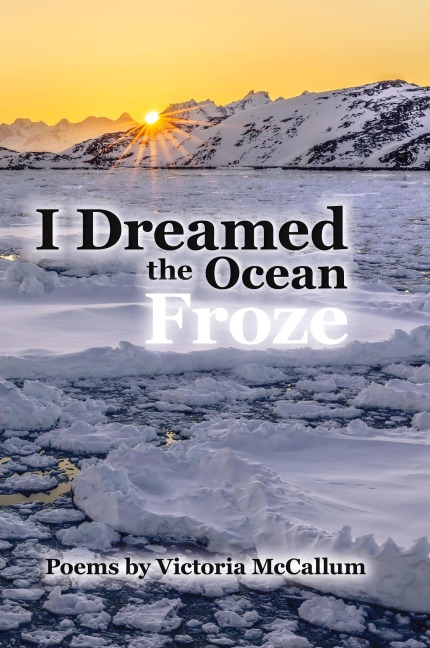 I Dreamed the Ocean Froze