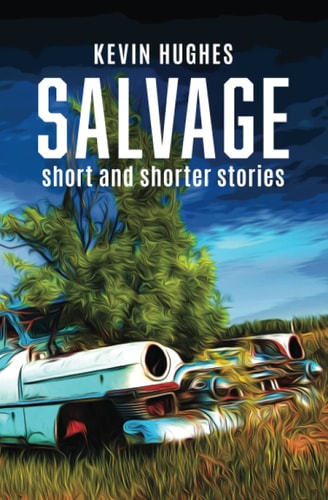 Salvage Short and Shorter Stories