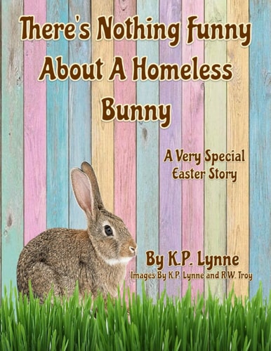 There's Nothing Funny About A Homeless Bunny A Very Special Easter Story