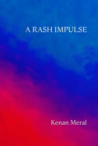 A Rash Impulse A Collection of 14 Short Stories
