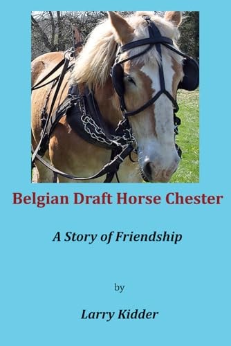 Belgian Draft Horse Chester A Story of Friendship