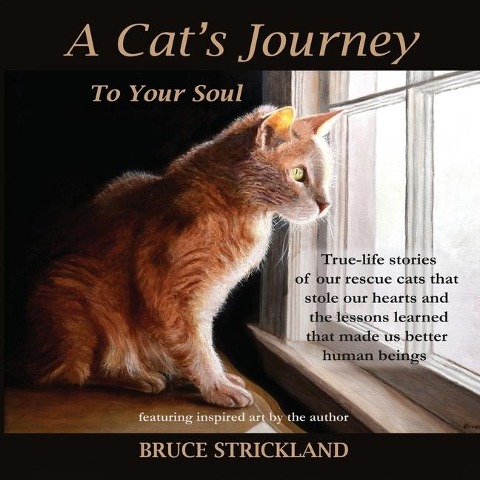 A Cats Journey To Your Soul