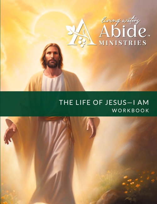 The Life of Jesus - Understanding / Receiving the great I AM - Workbook (& Leader Guide)