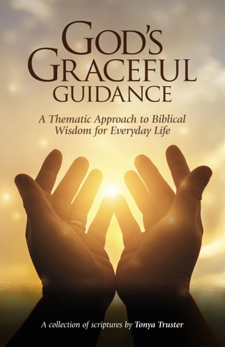 God's Graceful Guidance A Thematic Approach to Biblical Wisdom for Everyday Life