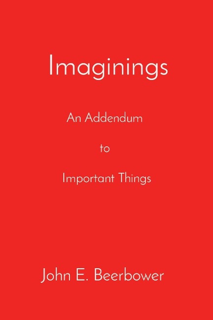 Imaginings: An Addendum to Important Things