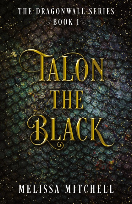 Talon the Black: A Slow Burn Fantasy Series