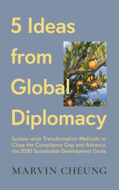 5 Ideas from Global Diplomacy: System-wide Transformation Methods to Close the Compliance Gap and Advance the 2030 Sustainable Development Goals