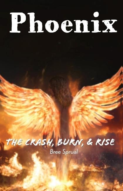 Phoenix: The Crash, Burn, & Rise