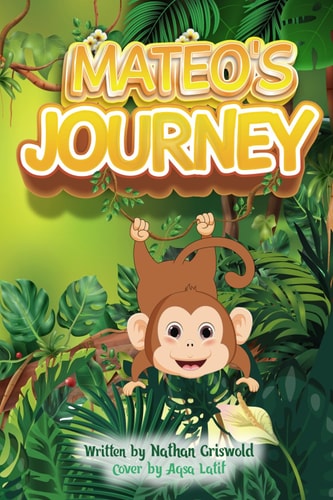 Mateo's Journey