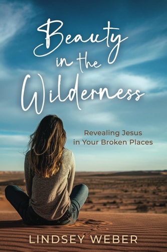 Beauty in the Wilderness Revealing Jesus in Your Broken Places