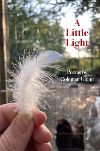 A Little Light Poems
