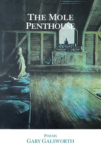 The Mole Penthouse Poems