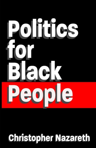Politics For Black People The Basics