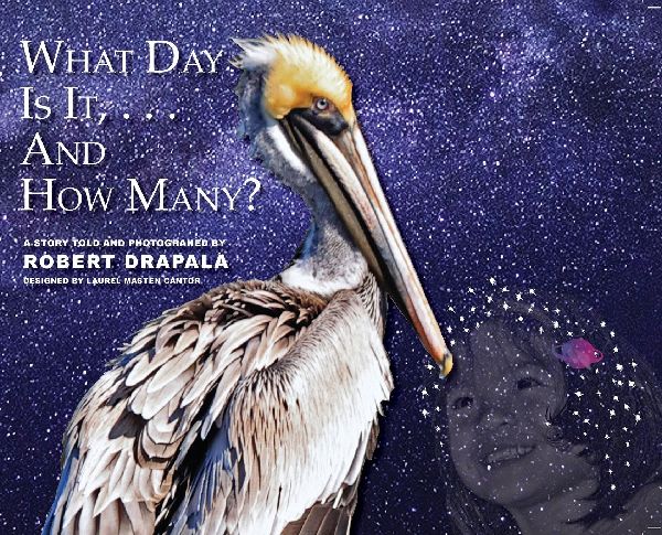What Day Is It and How Many?
