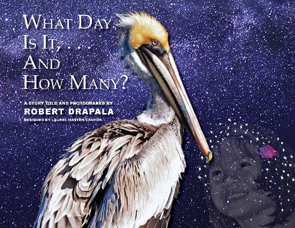 What Day Is It and How Many?