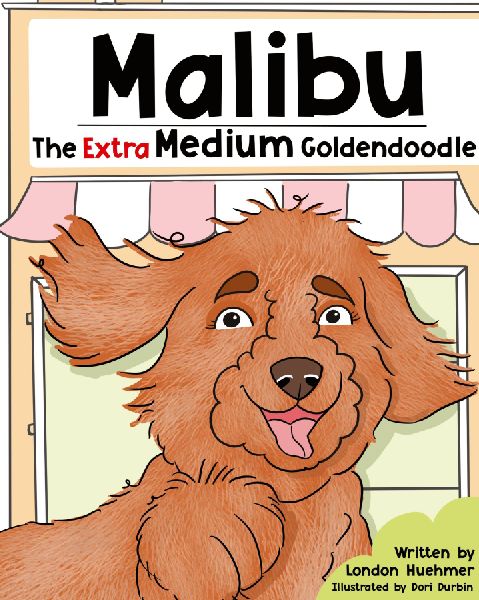 Malibu the Extra Medium Goldendoodle