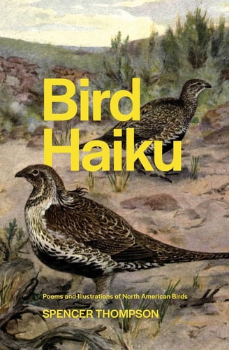Bird Haiku Poems and Illustrations of North American Birds