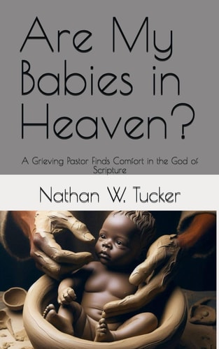 Are My Babies in Heaven? A Grieving Pastor Finds Comfort in the God of Scripture