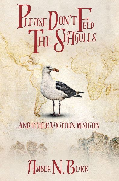 Please Dont Feed the Seagulls... and other vacation mishaps