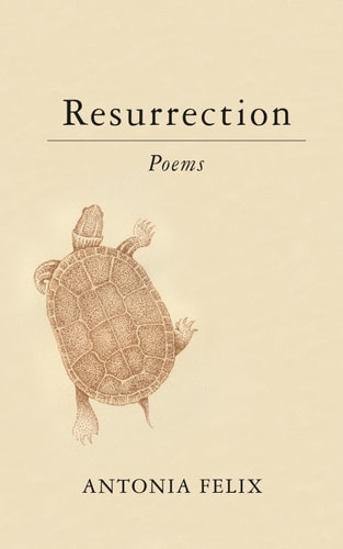 Resurrection Poems