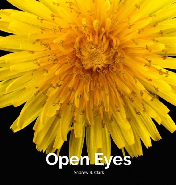 Open Eyes Broken Voices