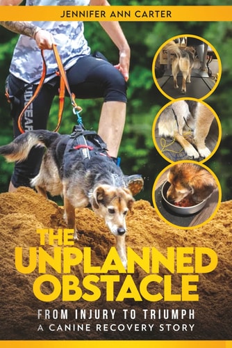 The Unplanned Obstacle From Injury to Triumph: a Canine Recovery Story