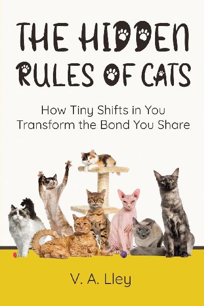 The Hidden Rules of Cats: How Tiny Shifts in You Transform the Bond You Share