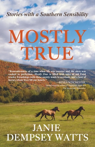 Mostly True Stories with a Southern Sensibility