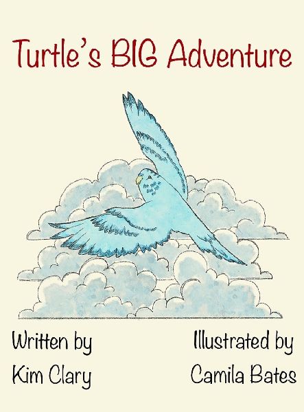 Turtles Big Adventure