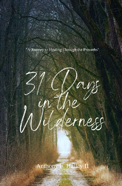 31 Days In the Wilderness: A Journey Through the Proverbs