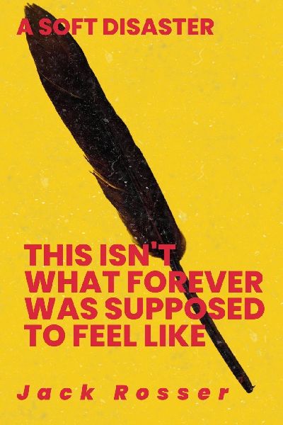 This Isn't What Forever Was Supposed To Feel Like: A Soft Disaster