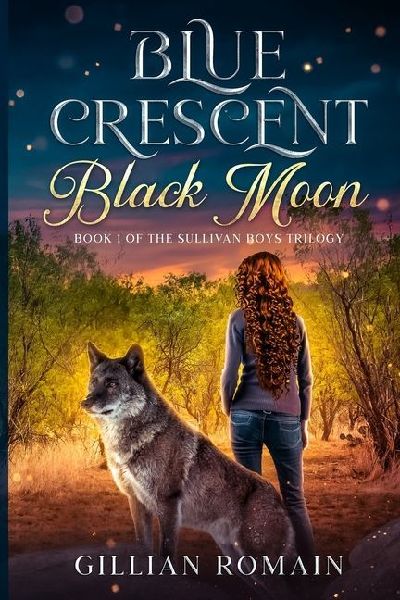Blue Crescent Black Moon: Book 1 of The Sullivan Boys Trilogy