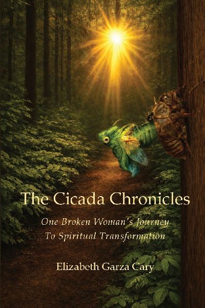 The Cicada Chronicles: One Broken Womans Journey To Spiritual Transformation