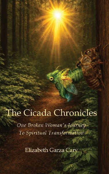 The Cicada Chronicles: One Broken Womans Journey To Spiritual Transformation