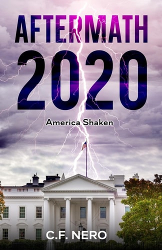 Aftermath 2020 America Shaken