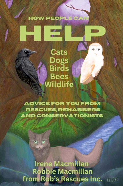 How People Can Help Cats, Dogs, Birds, Bees and Wildlife: Advice For You From Rescues, Rehabbers and Conservationists