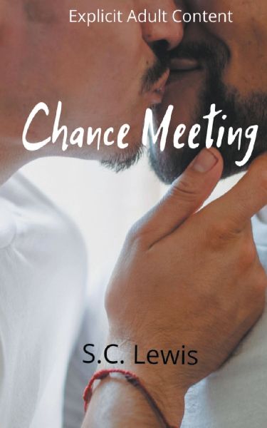 Chance Meeting