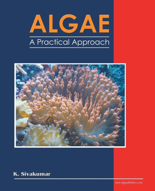 ALGAE: A Practical Approach