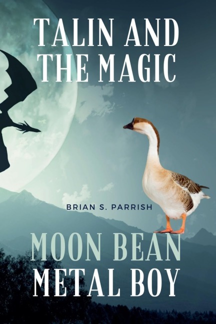 Talin and the Magic Moon Bean Metal Boy